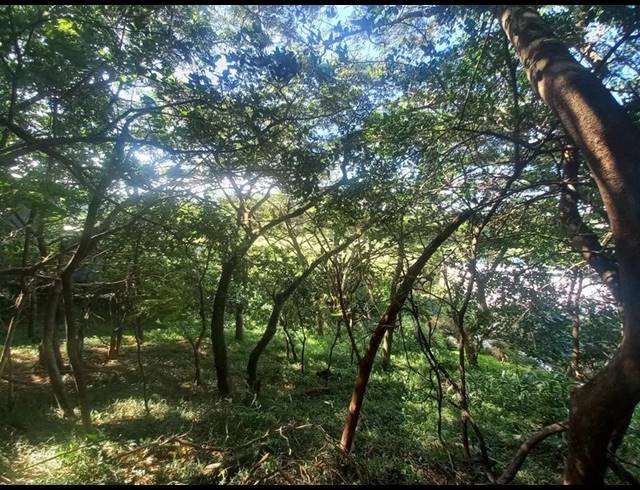 LAND FOR SALE IN SIMBITHI ECO ESTATE